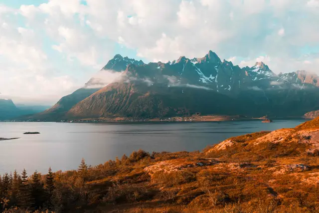 Abendlicht über Fjord und schroffen Gipfeln, vorn herbstlich gefärbte Hänge