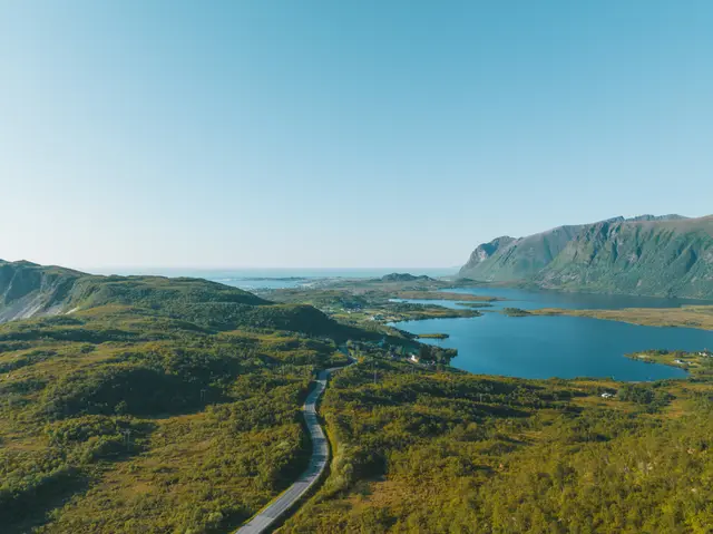 Kurvige Straße schlängelt sich durch grüne Lofoten-Landschaft zu See und Meer
